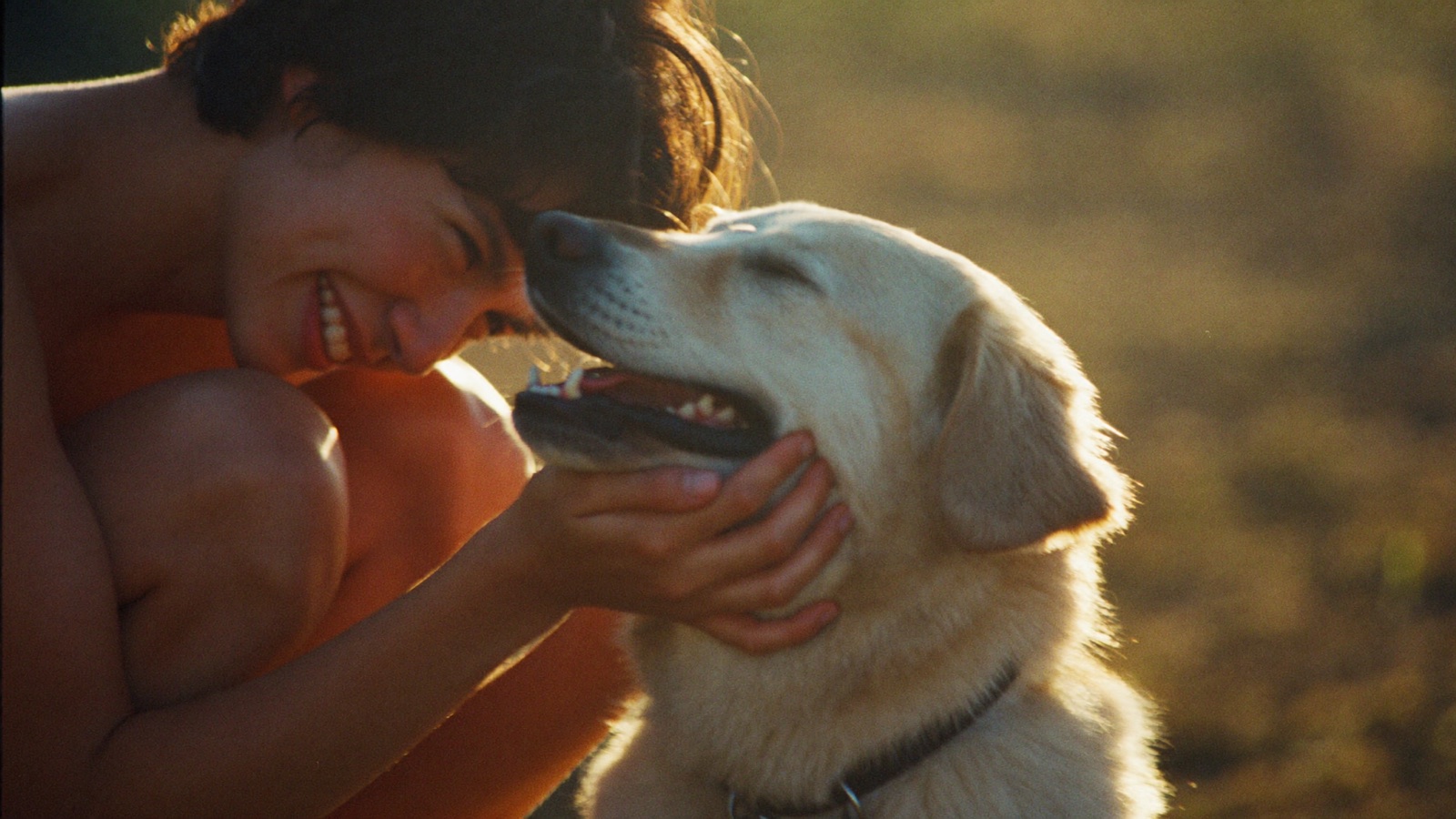 Mensch lacht, während der Hund ihm liebevoll das Gesicht abschleckt, im goldenen Abendlicht